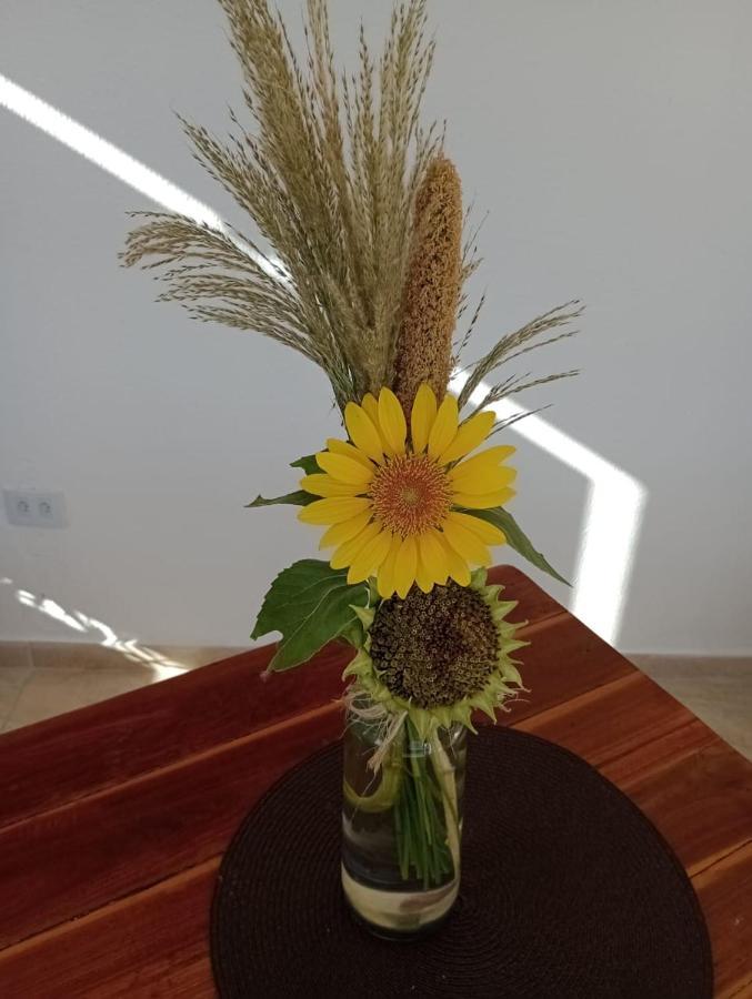 Chalés Recanto das Flores RN Monte das Gameleiras Esterno foto